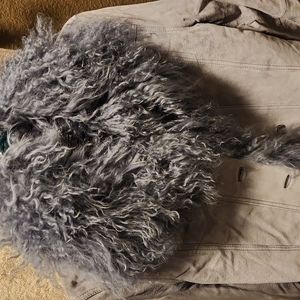 BEBE jacket